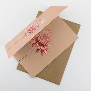 30x40 Klappkarte Grußkarte Karte Recyclingpapier mit Kuvert Blume Chrysanthemen