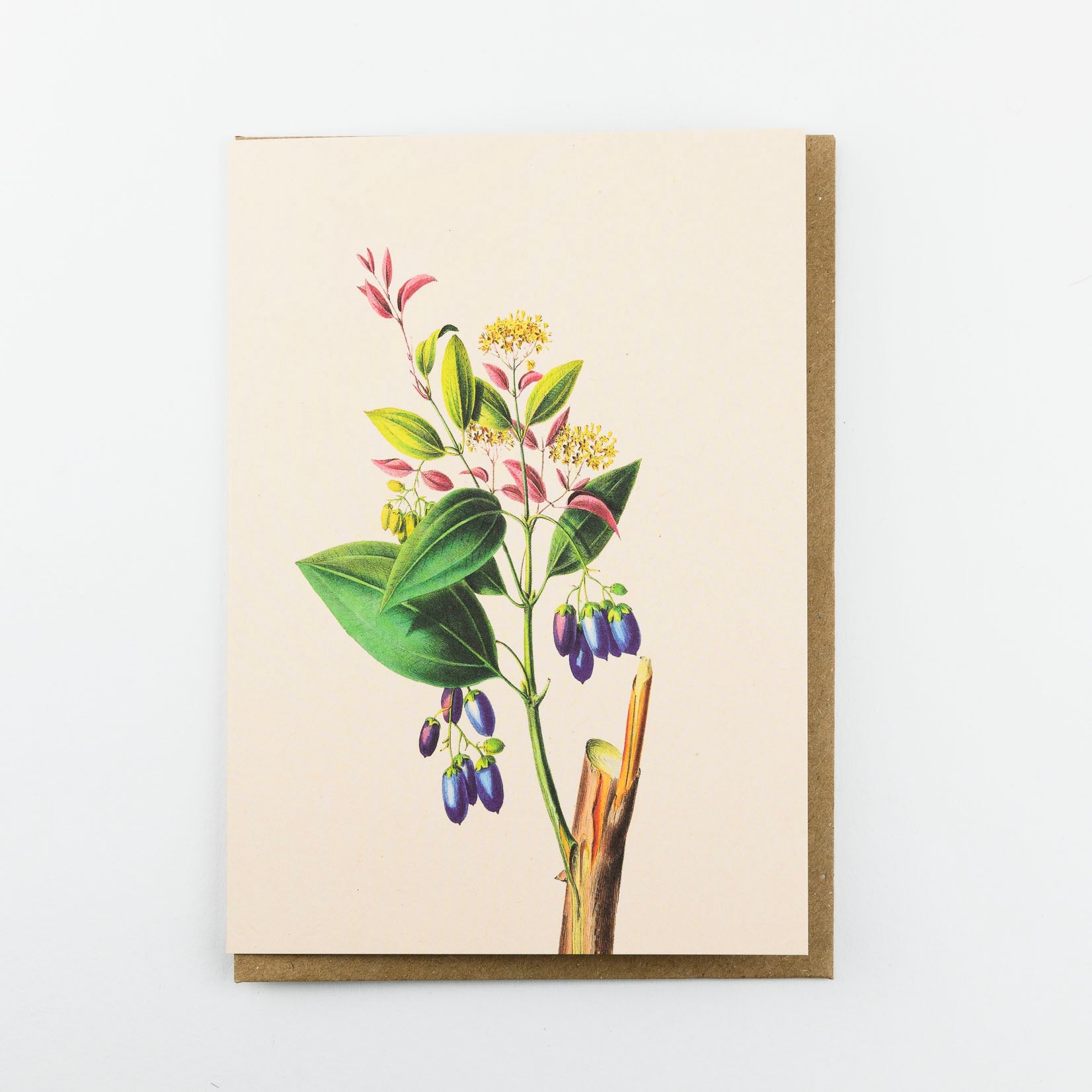 30x40 Klappkarte Grußkarte Karte Recyclingpapier mit Kuvert Swing Blümchen Blumen