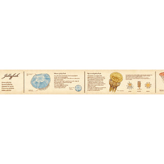 mt ex masking tape encyclopedia jellyfish