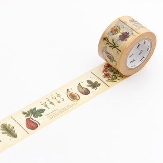 mt masking tape japanisches washi tape Reispapier plant Pflanzen Japan Natur